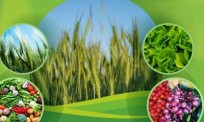 crop-protection
