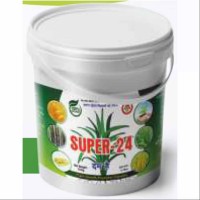 super-24