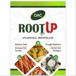 root-up