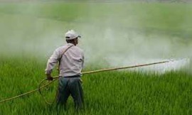 Bio Pesticides